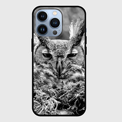 Чехол для iPhone 13 Pro Ночной филин, цвет: 3D-черный