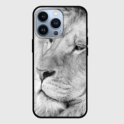 Чехол для iPhone 13 Pro Мудрый лев, цвет: 3D-черный