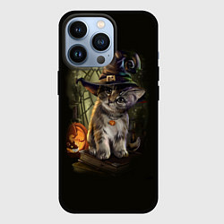 Чехол для iPhone 13 Pro Ведьмин котенок, цвет: 3D-черный