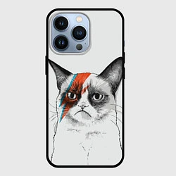 Чехол iPhone 13 Pro David Bowie: Grumpy cat