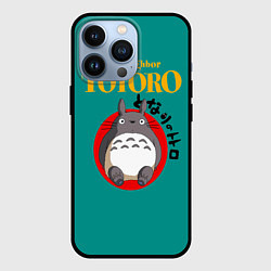 Чехол для iPhone 13 Pro Totoro, цвет: 3D-черный