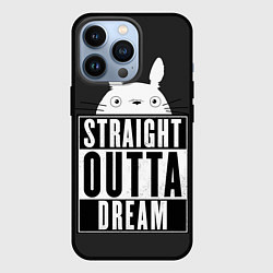 Чехол для iPhone 13 Pro Тоторо Straight outta dream, цвет: 3D-черный