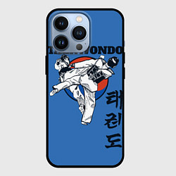 Чехол для iPhone 13 Pro Taekwondo, цвет: 3D-черный