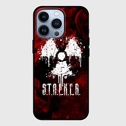 Чехол для iPhone 13 Pro STALKER 2, цвет: 3D-черный