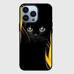 Чехол для iPhone 13 Pro Грозовой кошак, цвет: 3D-черный