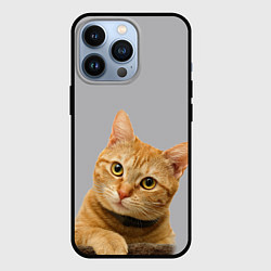 Чехол для iPhone 13 Pro Рыжий котик, цвет: 3D-черный