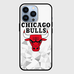 Чехол для iPhone 13 Pro CHICAGO BULLS, цвет: 3D-черный