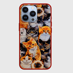 Чехол для iPhone 13 Pro КОТЯТКИ, цвет: 3D-красный