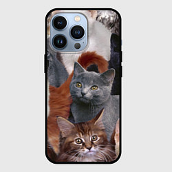 Чехол для iPhone 13 Pro КОТЯТКИ, цвет: 3D-черный