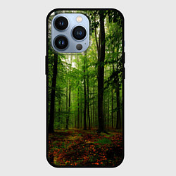 Чехол для iPhone 13 Pro Лес, цвет: 3D-черный