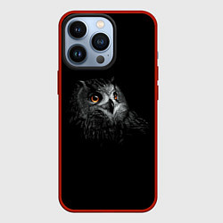 Чехол для iPhone 13 Pro Сова, цвет: 3D-красный