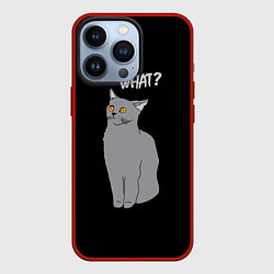 Чехол для iPhone 13 Pro What cat, цвет: 3D-красный