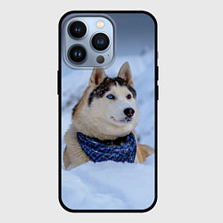 Чехол для iPhone 13 Pro Хаски, цвет: 3D-черный