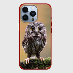Чехол для iPhone 13 Pro СОВЕНОК, цвет: 3D-красный