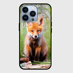 Чехол для iPhone 13 Pro Лисичка, цвет: 3D-черный