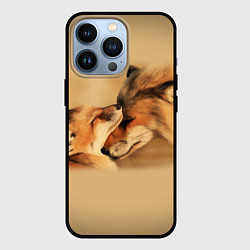Чехол iPhone 13 Pro Лисички