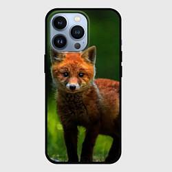 Чехол для iPhone 13 Pro Маленький лисенок, цвет: 3D-черный