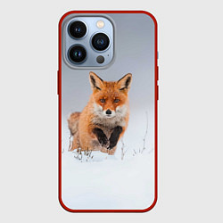 Чехол для iPhone 13 Pro Лисица прыгает по снегу, цвет: 3D-красный