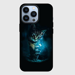 Чехол для iPhone 13 Pro Красивый кот, цвет: 3D-черный