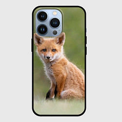 Чехол для iPhone 13 Pro Лисенок, цвет: 3D-черный