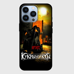 Чехол для iPhone 13 Pro Кукрыниксы - Артист, цвет: 3D-черный
