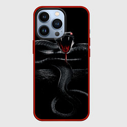 Чехол для iPhone 13 Pro ЗМЕЯ НА КАМНЕ НА ЧЕРНОМ ФОНЕ, цвет: 3D-красный