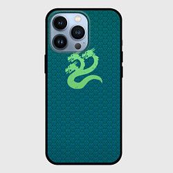Чехол для iPhone 13 Pro Альфа Легион чешуя креатив, цвет: 3D-черный