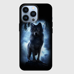 Чехол для iPhone 13 Pro ВОЛК БРОДЯГА, цвет: 3D-черный
