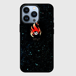 Чехол iPhone 13 Pro Why?