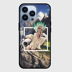 Чехол для iPhone 13 Pro Доктор Стоун Dr Stone, Сэнку Ишигами Ishigami Senk, цвет: 3D-черный