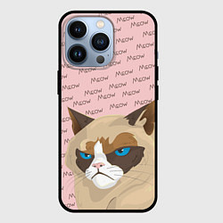 Чехол для iPhone 13 Pro Angry Cat Злой кот, цвет: 3D-черный
