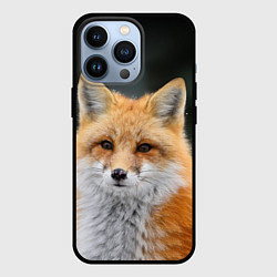 Чехол для iPhone 13 Pro Красавица Лиса, цвет: 3D-черный