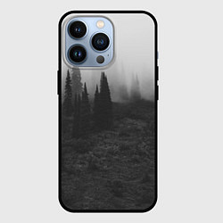 Чехол для iPhone 13 Pro Туманный лес - туман, цвет: 3D-черный