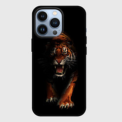 Чехол для iPhone 13 Pro Тигр на черном фоне, цвет: 3D-черный