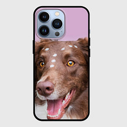 Чехол для iPhone 13 Pro Веселая Бордер колли, цвет: 3D-черный