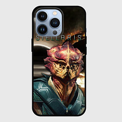 Чехол iPhone 13 Pro STELLARIS СТЕЛЛАРИС