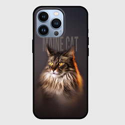 Чехол для iPhone 13 Pro Maine cat, цвет: 3D-черный