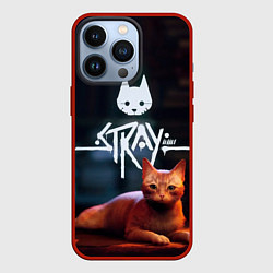 Чехол iPhone 13 Pro Stray бродячий кот