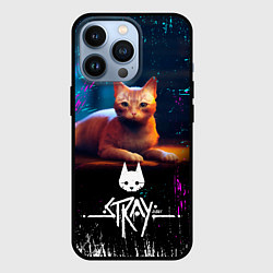 Чехол для iPhone 13 Pro Stray Cat: Бродячий Кот, цвет: 3D-черный