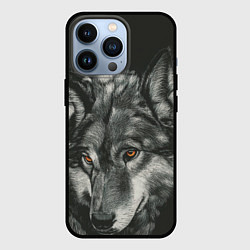 Чехол для iPhone 13 Pro Серый мудрый волк, цвет: 3D-черный