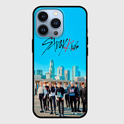 Чехол для iPhone 13 Pro Stray Kids Double Knot, цвет: 3D-черный