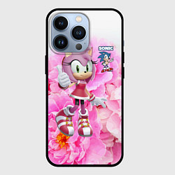 Чехол для iPhone 13 Pro Sonic - Amy Rose - Video game, цвет: 3D-черный