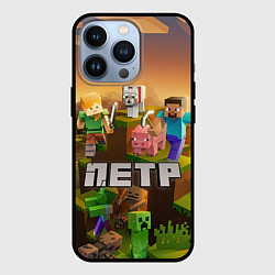 Чехол для iPhone 13 Pro Петр Minecraft, цвет: 3D-черный