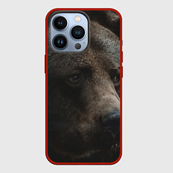 Чехол для iPhone 13 Pro Медведь, цвет: 3D-красный