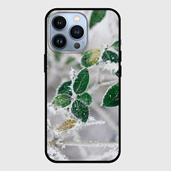 Чехол для iPhone 13 Pro Green winter, цвет: 3D-черный