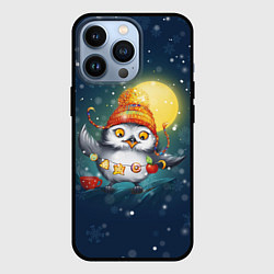 Чехол для iPhone 13 Pro Новогодняя ночная совушка, цвет: 3D-черный