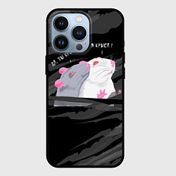 Чехол для iPhone 13 Pro Да, ты крыса мем, цвет: 3D-черный