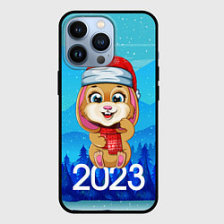 Чехол для iPhone 13 Pro Зайчик Новый год 2023, цвет: 3D-черный