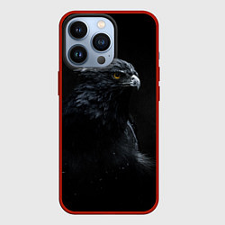 Чехол для iPhone 13 Pro Тёмный орёл, цвет: 3D-красный