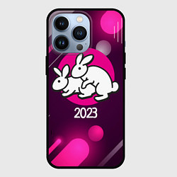 Чехол для iPhone 13 Pro Кролики 2023, цвет: 3D-черный